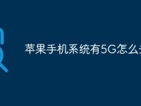 苹果手机系统有5G怎么去除-路由网