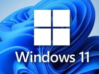 win11浏览器怎么长截图 win11浏览器长截图步骤-路由网