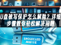 U盘被写保护怎么解除?详细步骤教你轻松解决问题-路由网