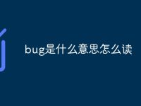 bug是什么意思怎么读-路由网