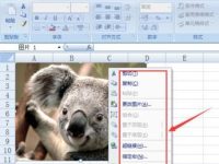 excel表格里的图片如何保存-路由网
