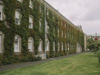 学信网怎么查成人专科在读-路由网