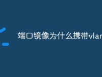 端口镜像为什么携带vlan-路由网