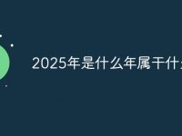 2025年是什么年属干什么年-路由网