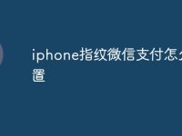 iphone指纹微信支付怎么设置-路由网