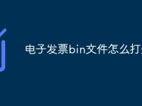 电子发票bin文件怎么打开-路由网