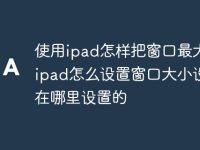 使用ipad怎样把窗口最大化 ipad怎么设置窗口大小设置在哪里设置的-路由网