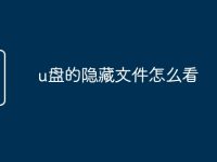u盘的隐藏文件怎么看-路由网