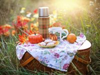 picnic是什么意思-路由网