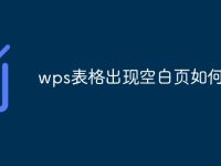 wps表格出现空白页如何删除-路由网