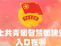 网上共青团智慧团建登录入口在哪-路由网