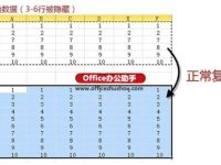 Excel表格中不复制隐藏数据的方法-路由网