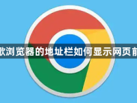 谷歌浏览器的地址栏如何显示网页前缀-路由网