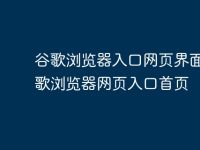 谷歌浏览器入口网页界面 谷歌浏览器网页入口首页-路由网