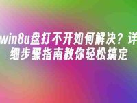 win8u盘打不开如何解决？详细步骤指南教你轻松搞定-路由网