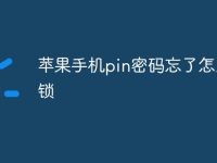 苹果手机pin密码忘了怎么解锁-路由网