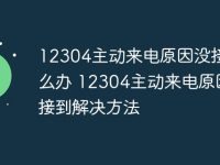 12304主动来电原因没接到怎么办 12304主动来电原因没接到解决方法-路由网