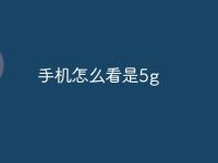 手机怎么看是5g-路由网