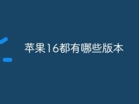 苹果16都有哪些版本-路由网