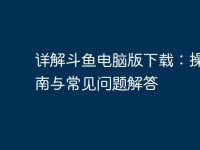 详解斗鱼电脑版下载：操作指南与常见问题解答-路由网
