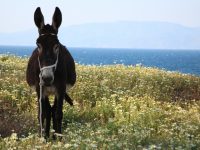 使用 GitOps 彻底改变您的 MuleSoft 部署-路由网