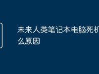 未来人类笔记本电脑死机是什么原因-路由网