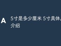 5寸是多少厘米 5寸具体尺寸介绍-路由网