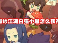 爆炒江湖白猫小黑怎么获得-路由网