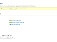 BitLocker 新漏洞:Win10 / Win11 控制面板跳错误提醒-路由网