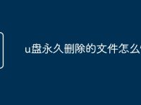 u盘永久删除的文件怎么恢复-路由网
