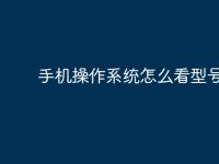 手机操作系统怎么看型号大小-路由网