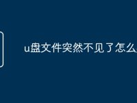 u盘文件突然不见了怎么办-路由网