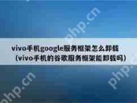 vivonex如何移除play商店-路由网