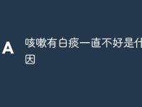 咳嗽有白痰一直不好是什么原因-路由网