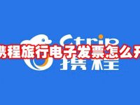 携程旅行电子发票怎么开-路由网