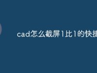 cad怎么截屏1比1的快捷命令-路由网