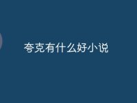 夸克有什么好小说-路由网