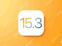 苹果iOS、iPadOS和macOS集体更新一览:官方建议所有用户升级-路由网
