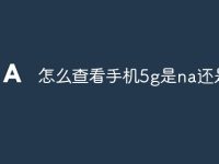 怎么查看手机5g是na还是-路由网