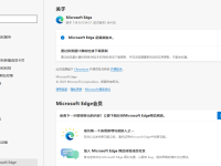 微软 Edge 浏览器 134 稳定版发布:设置迁移 WebUI2 提速-路由网