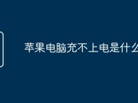苹果电脑充不上电是什么原因-路由网