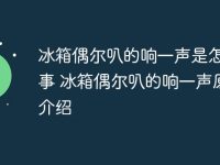 冰箱偶尔叭的响一声是怎么回事 冰箱偶尔叭的响一声原因介绍-路由网