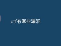 ctf有哪些漏洞-路由网