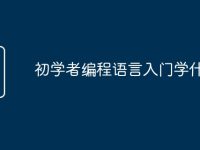 初学者编程语言入门学什么-路由网