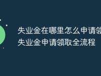 失业金在哪里怎么申请领取 失业金申请领取全流程-路由网