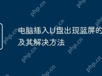 电脑插入U盘出现蓝屏的原因及其解决方法-路由网