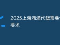 2025上海滴滴代驾需要什么要求-路由网