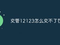 交管12123怎么交不了罚款-路由网