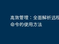 高效管理：全面解析远程电脑命令的使用方法-路由网