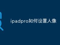ipadpro如何设置人像-路由网